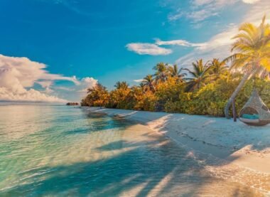 Best Beaches for January