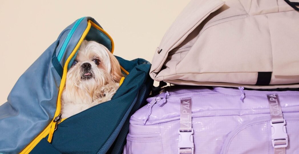 Travel Backpack