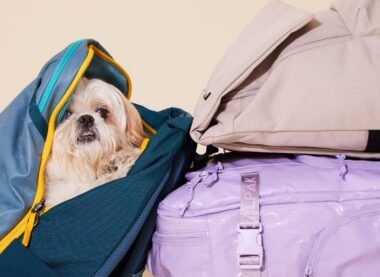 Travel Backpack