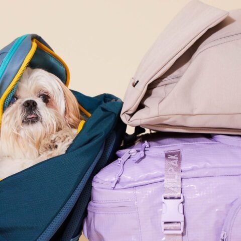 Travel Backpack